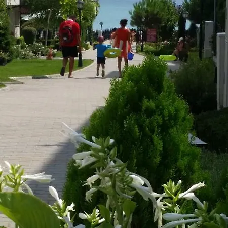 Aqua Dreams - New Wifi * スヴェティ・ヴラス