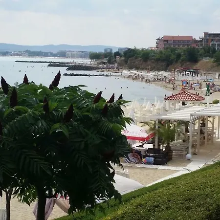 Aqua Dreams - New Wifi スヴェティ・ヴラス