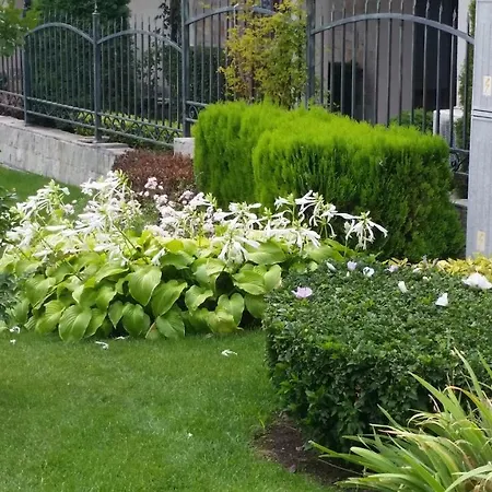 Aqua Dreams - New Wifi * スヴェティ・ヴラス