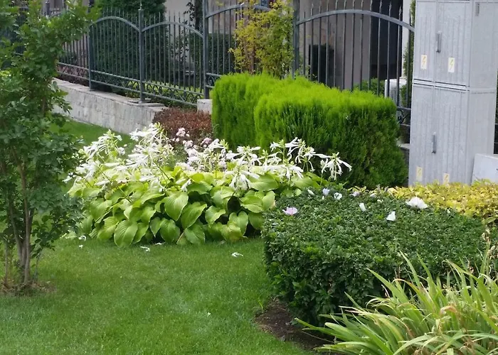 Aqua Dreams - New Wifi * Свети Влас